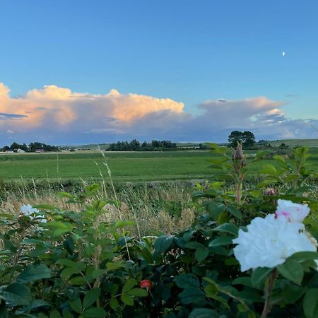Вілла Aengahuset Glemminge Екстер'єр фото